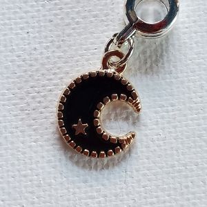 Charm. Silver and gold tone. NWOT.  Fits in Pandora snake chain Bracelet.